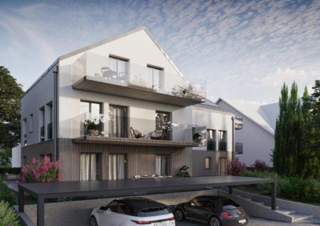 4 duplex apartments in Signy-Avenex